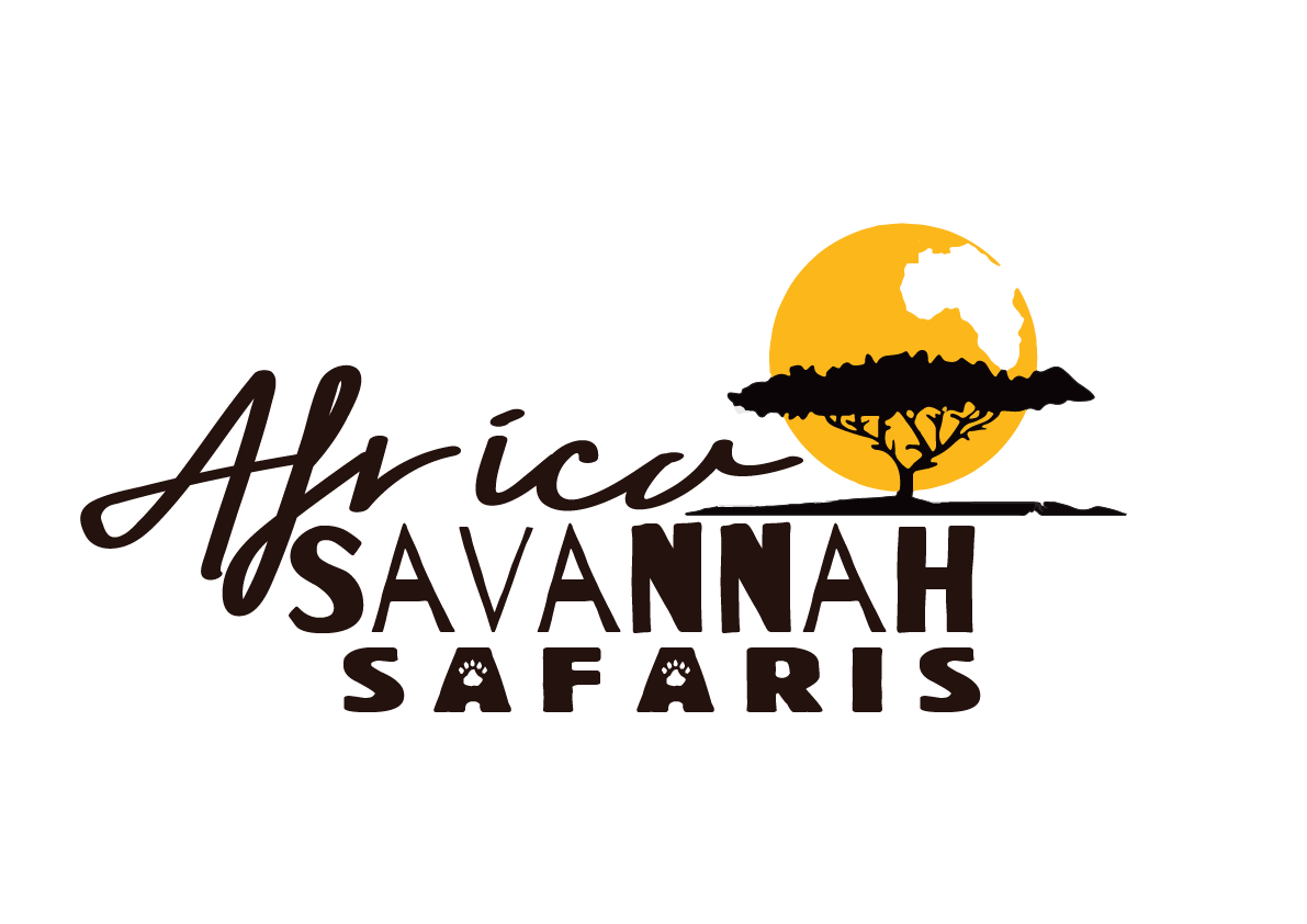 safari viewing savannah wildlife from above