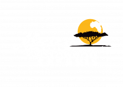 safari viewing savannah wildlife from above